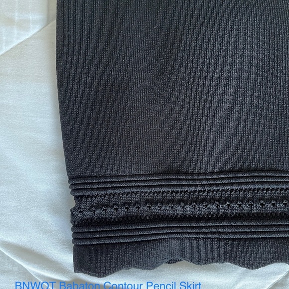 Aritzia Babaton Contour Pencil Skirt - Picture 3 of 3